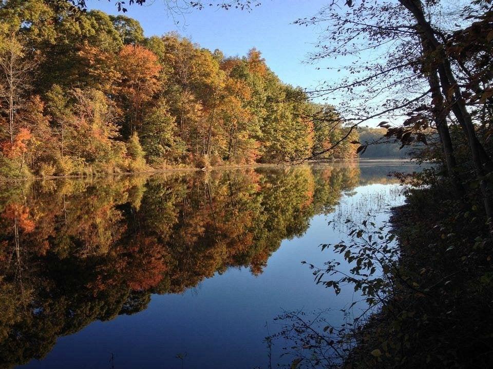 Autumn foliage reflected in a calm Northern Virginia lake