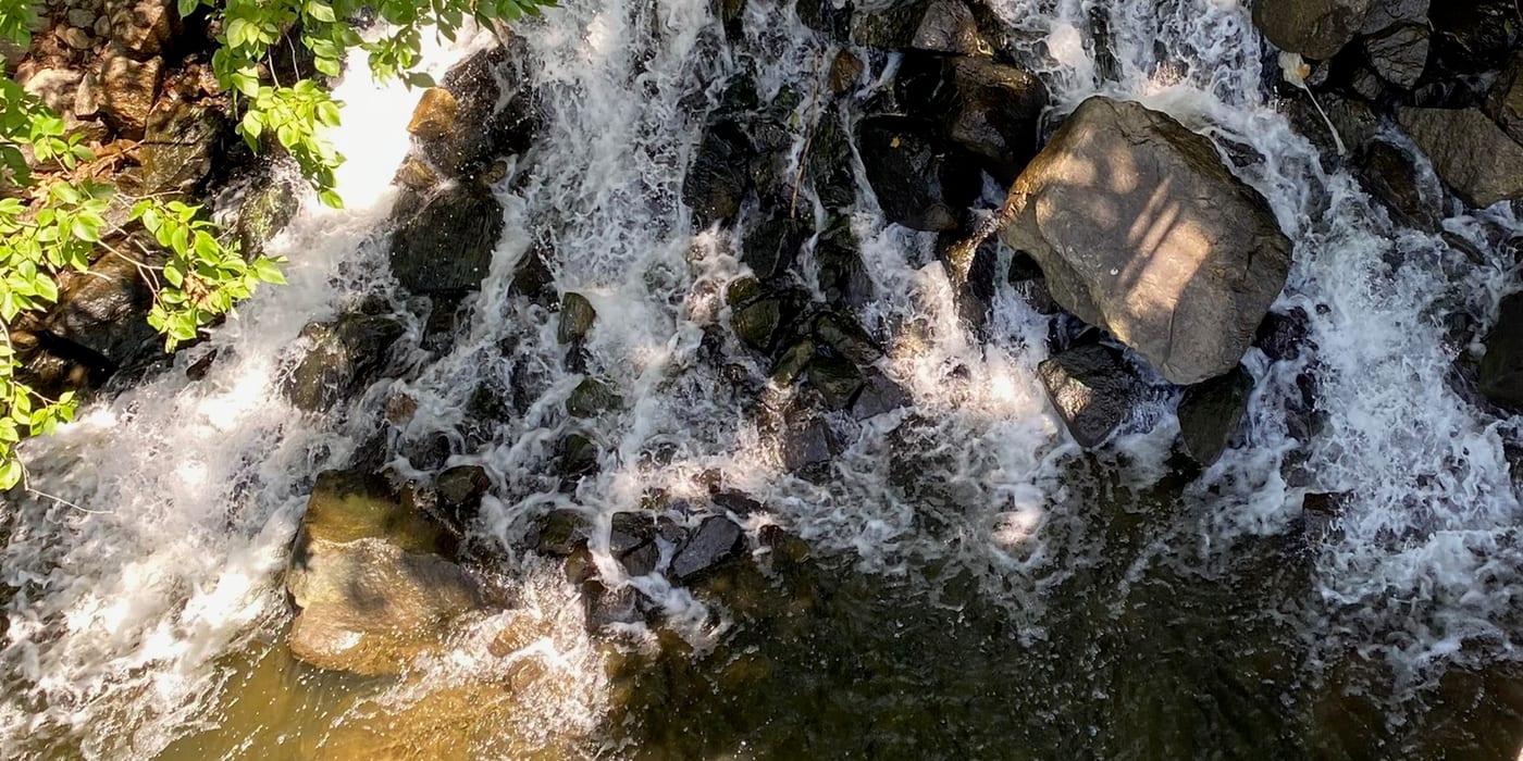 A rushing waterfall along a wooded stream near Occoquan