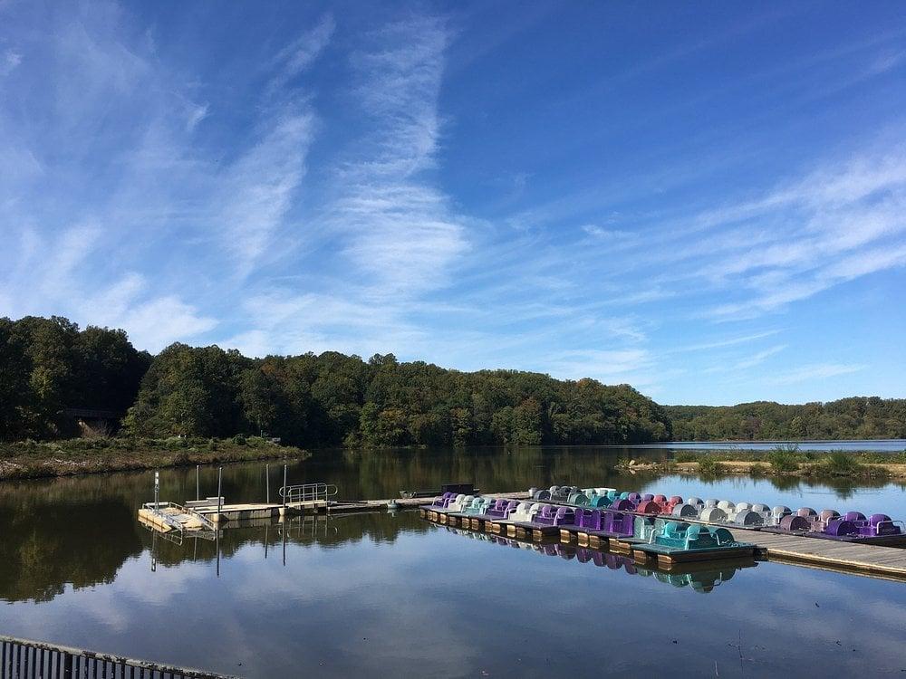 Paddle boats lined up on the dock at Lake Accotink Park in Springfield