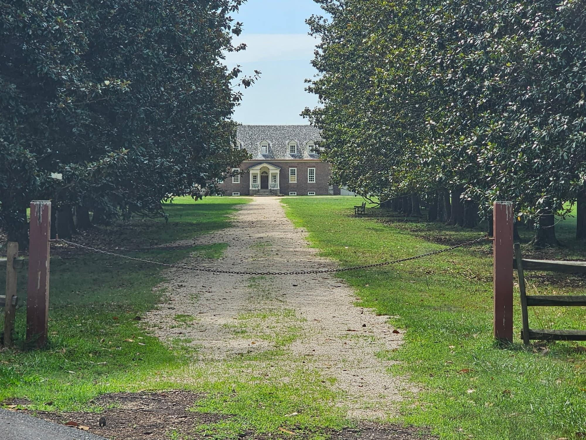 A magnolia-lined allée leading toward a historic Northern Virginia home