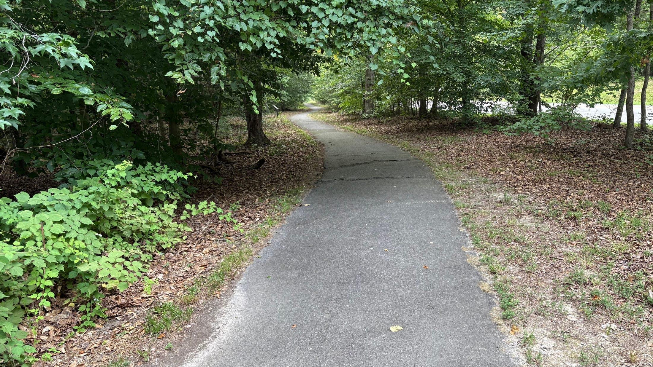 A quiet, winding paved path through the woods at Mason Neck State Park